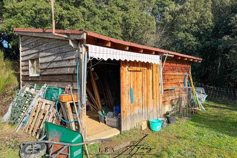 Landejendom i Salza, Aude, Salza - € 216.000 | Ref: 340930821694 - foto 21