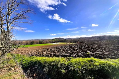Villa a Marciac, Gers, Marciac - € 329.900 | Ref: 340932726183 - foto 4