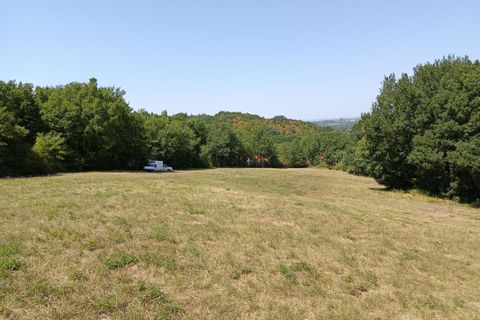 Terra a Saix, Tarn, Saix - € 69.000 | Ref: 045D062CEA344A8D - foto 2