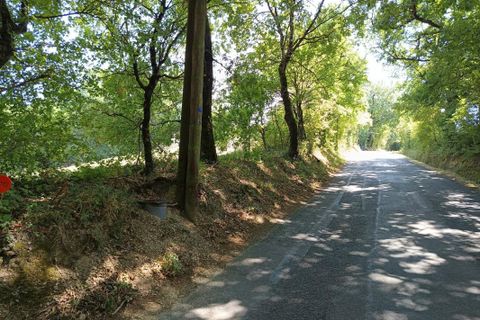 Terra a Saix, Tarn, Saix - € 69.000 | Ref: ACE9DA01F75D4DD2 - foto 2