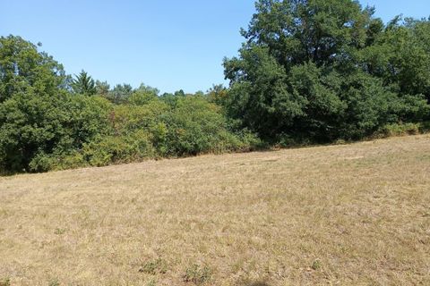 Terra a Saix, Tarn, Saix - € 69.000 | Ref: ACE9DA01F75D4DD2 - foto 3