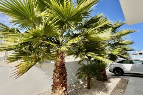 Villa a Benejuzar, Alicante, Benejuzar - € 569.500 | Ref: MLSC1352458/13477 - foto 19