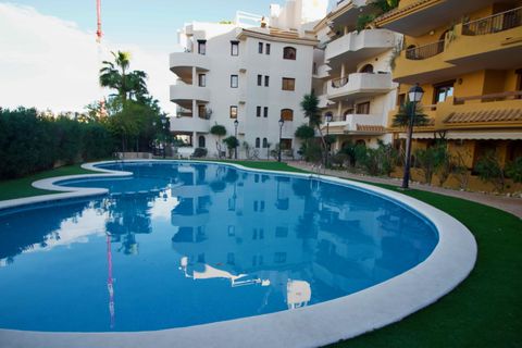 Leilighet i Punta Prima, Alicante, Punta Prima - € 225 000 | Ref: CIN-68198 - foto 43