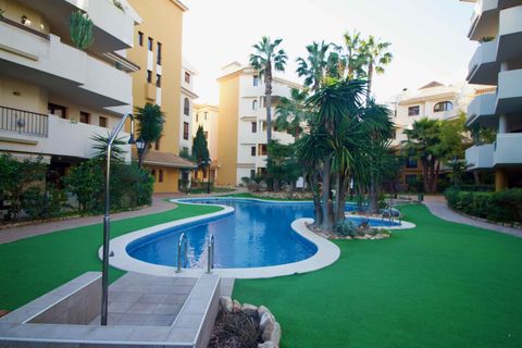 Leilighet i Punta Prima, Alicante, Punta Prima - € 225 000 | Ref: CIN-68198 - foto 45