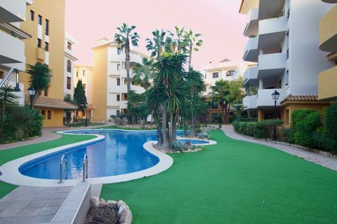 Leilighet i Punta Prima, Alicante, Punta Prima - € 225 000 | Ref: CIN-68198 - foto 46