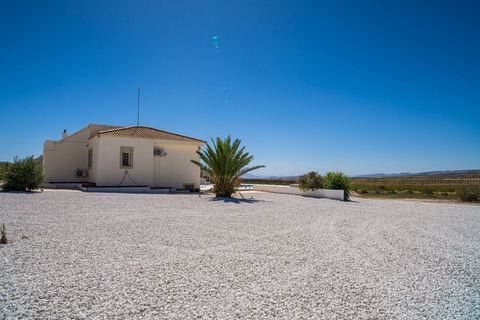 Villa a Pinoso, Alicante, Pinoso - € 349.995 | Ref: ANN-R142 - foto 14