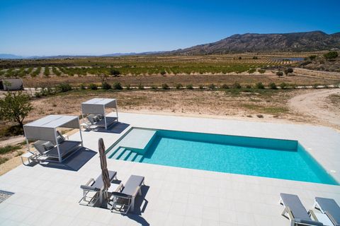 Villa a Pinoso, Alicante, Pinoso - € 349.995 | Ref: ANN-R142 - foto 17