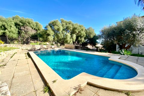Rækkehus i Selva, Mallorca, Selva - € 1.650.000 | Ref: FALC-ZoRe-79969 - foto 8