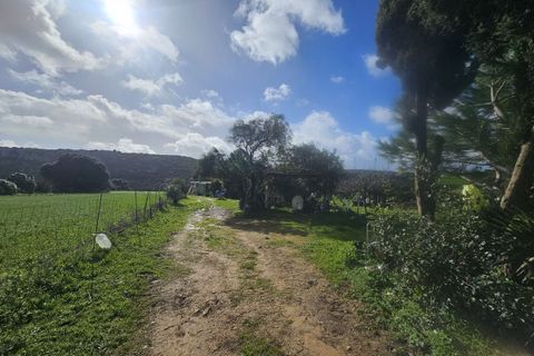 Bungalou a Casares, Malaga, Casares - € 310.000 | Ref: R5306095 - foto 16