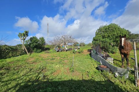 Bungalou a Casares, Malaga, Casares - € 310.000 | Ref: R5306095 - foto 34