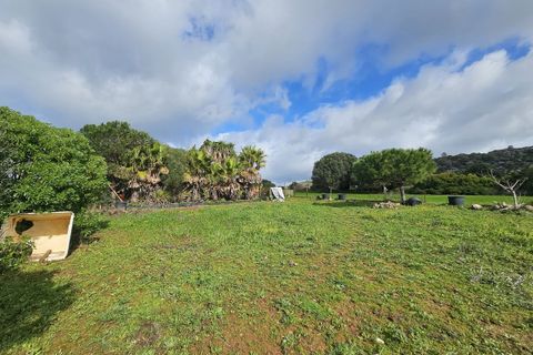 Bungalou a Casares, Malaga, Casares - € 310.000 | Ref: R5306095 - foto 37