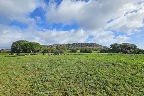 Bungalou a Casares, Malaga, Casares - € 310.000 | Ref: R5306095 - foto 39
