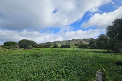 Bungalou a Casares, Malaga, Casares - € 310.000 | Ref: R5306095 - foto 43