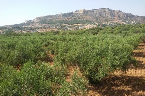 Villa - Sciacca, Agrigento, Sciacca - € 1 490 000 | Réf : Baldassare Sovi - photo 36