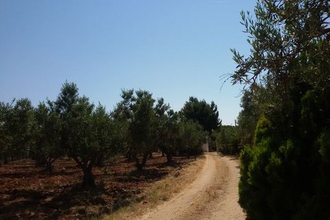 Villa - Sciacca, Agrigento, Sciacca - € 1 490 000 | Réf : Baldassare Sovi - photo 10