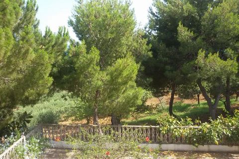 Villa - Sciacca, Agrigento, Sciacca - € 1 490 000 | Réf : Baldassare Sovi - photo 38