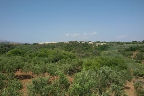 Villa - Sciacca, Agrigento, Sciacca - € 1 490 000 | Réf : Baldassare Sovi - photo 12