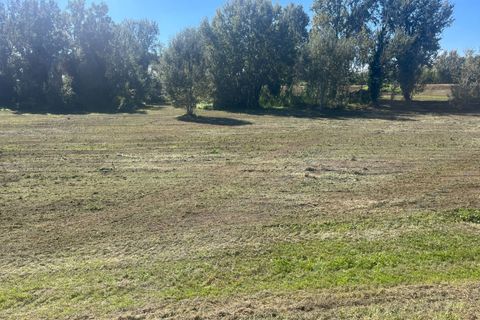 Helårsgrund i Lajatico, Pisa, Lajatico - € 99.000 | Ref: 2026P032 - foto 4