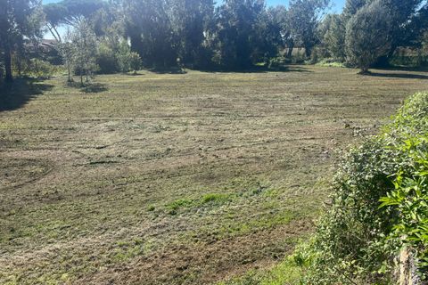 Helårsgrund i Lajatico, Pisa, Lajatico - € 99.000 | Ref: 2026P032 - foto 5