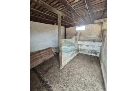 Farm hus i Redondo, Evora, Redondo - € 550.000 | Ref: FIN_13 - foto 35