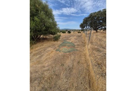 Farm hus i Redondo, Evora, Redondo - € 550.000 | Ref: FIN_13 - foto 39