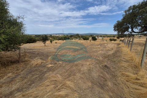 Farm hus i Redondo, Evora, Redondo - € 550.000 | Ref: FIN_13 - foto 40