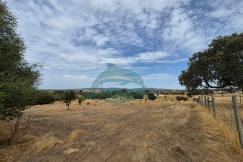 Farm hus i Redondo, Evora, Redondo - € 550.000 | Ref: FIN_13 - foto 41