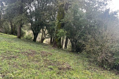 Terra a Auch, Gers, Auch - € 54.500 | Ref: 86750481 - foto 11