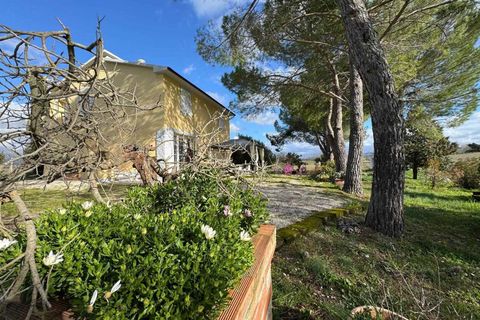 Villa i Scansano, Grosseto, Scansano - € 438.000 | Ref: a9591is009 - foto 5