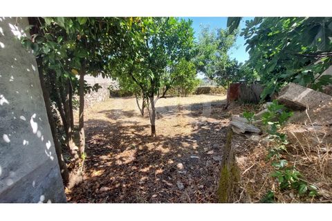 Villa i Castelo Branco, Castelo Branco, Castelo Branco - € 70.000 | Ref: UNU.I.1976.12555 - foto 3