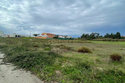 Helårsgrund i Torres Vedras, Lisbon, Torres Vedras - € 230.000 | Ref: C0379-00471 - foto 8
