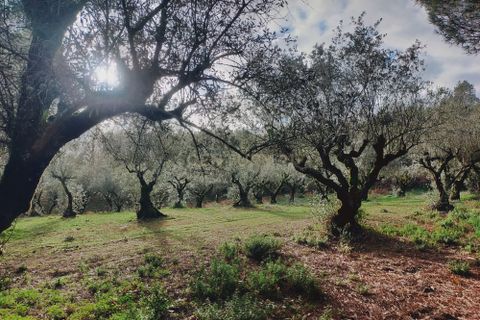 Helårsgrund i Parceiros e Azoia, Leiria, Parceiros e Azoia - € 32.000 | Ref: C0379-00639 - foto 6