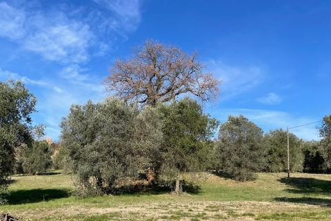 Villa i Amelia, Terni, Amelia - € 60.000 | Ref: AMELIA111 - foto 2