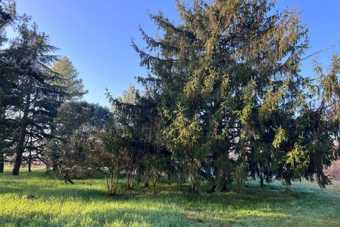 Villa i Ferrara, Ferrara, Ferrara - € 220.000 | Ref: 785 - foto 8