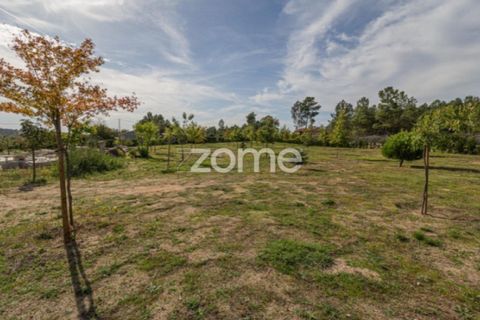 Farm i Queiriz, Guarda, Queiriz - € 860.000 | Ref: ZMPT580448 - foto 45