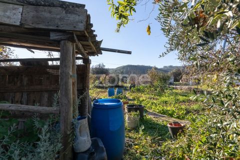 Villa i Penela, Coimbra, Penela - € 190.000 | Ref: ZMPT585388 - foto 29