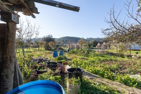 Villa i Penela, Coimbra, Penela - € 190.000 | Ref: ZMPT585388 - foto 30