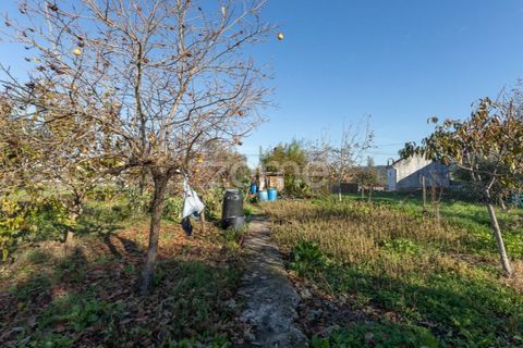 Villa i Penela, Coimbra, Penela - € 190.000 | Ref: ZMPT585388 - foto 31