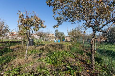 Villa i Penela, Coimbra, Penela - € 190.000 | Ref: ZMPT585388 - foto 32
