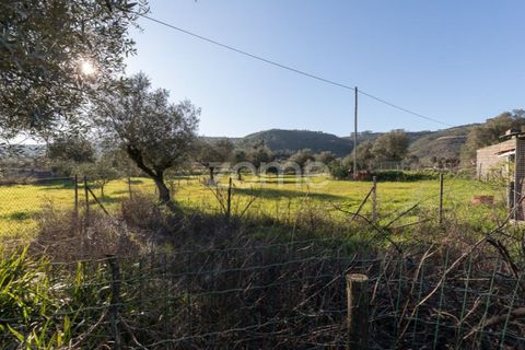 Villa i Penela, Coimbra, Penela - € 190.000 | Ref: ZMPT585388 - foto 34