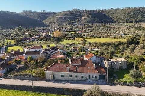 Villa i Penela, Coimbra, Penela - € 190.000 | Ref: ZMPT585388 - foto 40