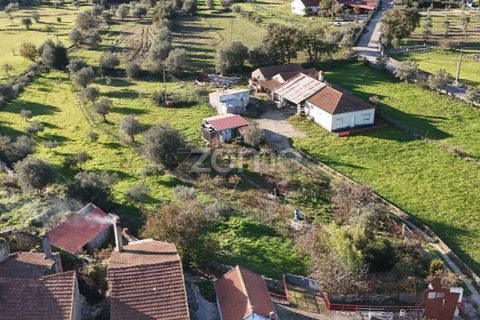 Villa i Penela, Coimbra, Penela - € 190.000 | Ref: ZMPT585388 - foto 45