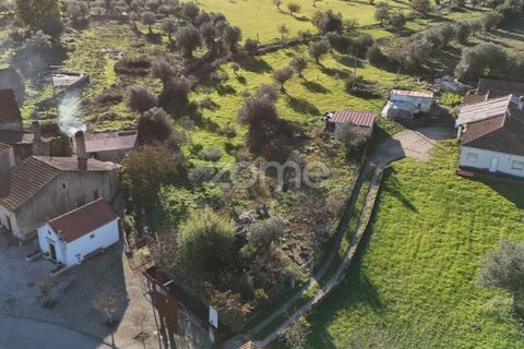 Villa i Penela, Coimbra, Penela - € 190.000 | Ref: ZMPT585388 - foto 46