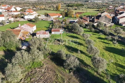 Villa i Penela, Coimbra, Penela - € 190.000 | Ref: ZMPT585388 - foto 47