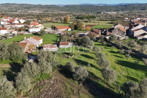 Villa i Penela, Coimbra, Penela - € 190.000 | Ref: ZMPT585388 - foto 48