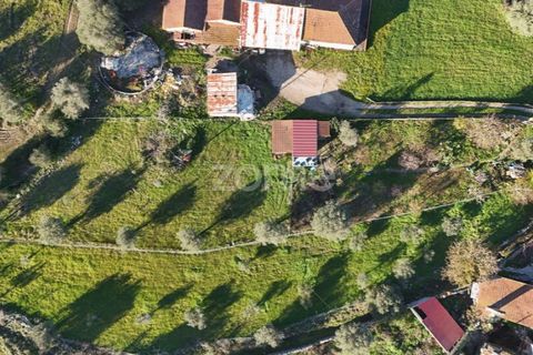 Villa i Penela, Coimbra, Penela - € 190.000 | Ref: ZMPT585388 - foto 49