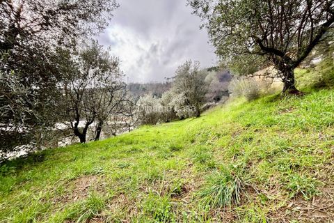 Villa i Vaiano, Prato, Vaiano - € 190.000 | Ref: DC190 - foto 15
