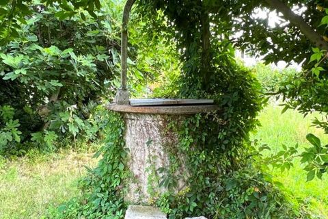 Helårsgrund i Stra, Venice, Stra - € 500.000 | Ref: 2026-04 - foto 12