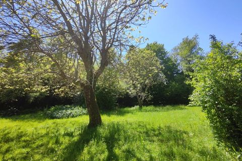 Villa en Pouillon, Landes, Pouillon - € 549.000 | Ref: 2001 - photo 4