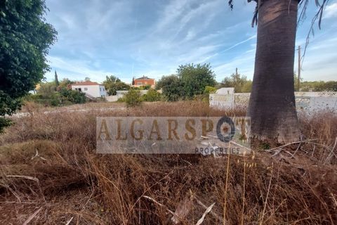 Villa i Almancil, Faro, Almancil - € 1.395.000 | Ref: HAB-LOAL-02 - foto 32